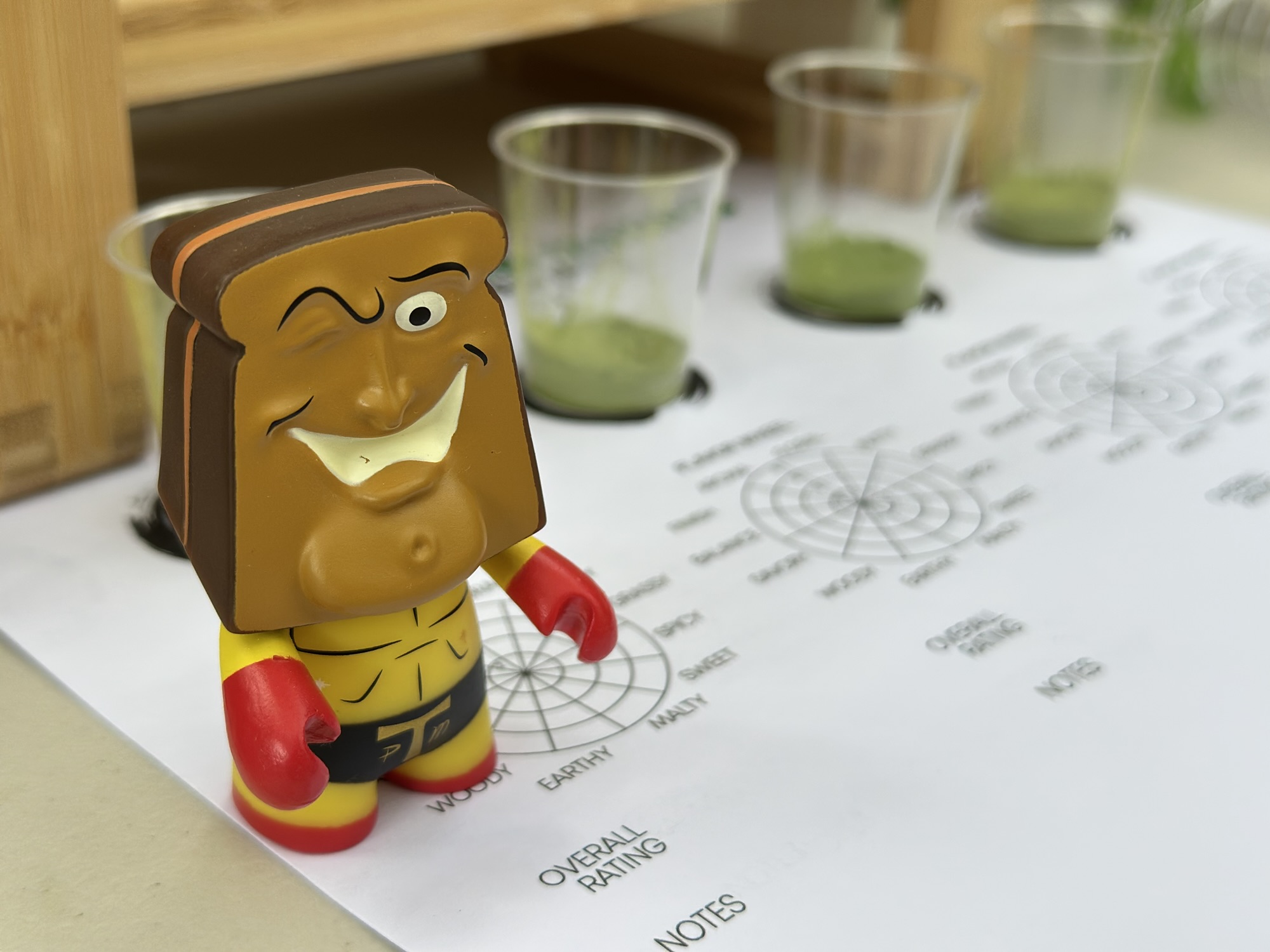 Recap- Chicago Matcha Club #2: Real vs Fake – Blind Tasting