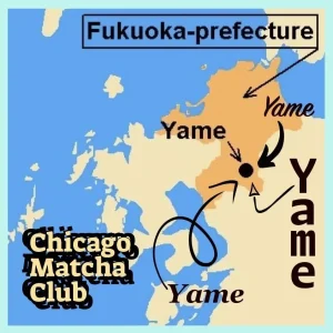 RECAP – Chicago Matcha Club #4: Yame Yame Yame – October 19